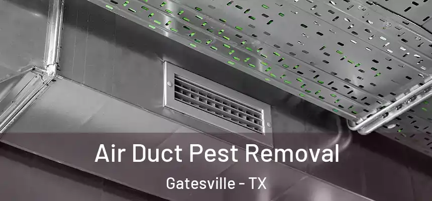 Air Duct Pest Removal Gatesville - TX