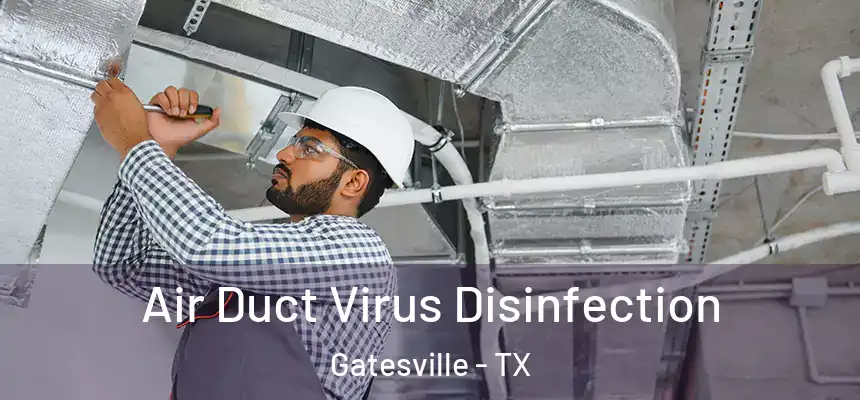 Air Duct Virus Disinfection Gatesville - TX