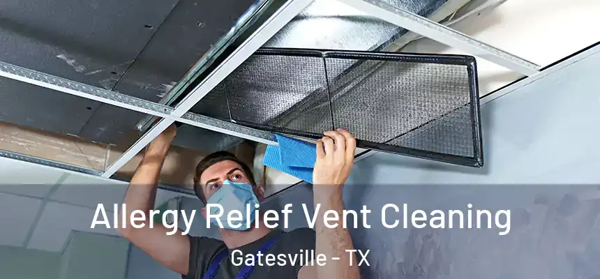 Allergy Relief Vent Cleaning Gatesville - TX