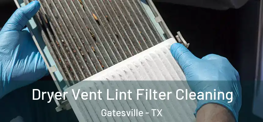  Dryer Vent Lint Filter Cleaning Gatesville - TX