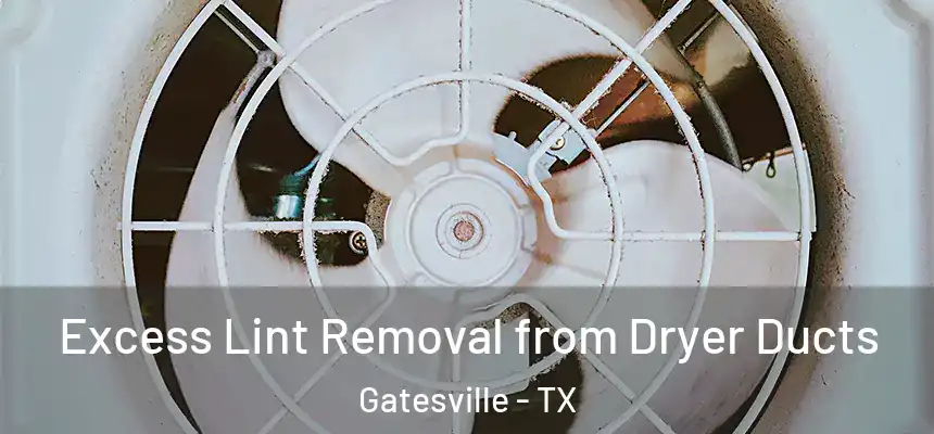 Excess Lint Removal from Dryer Ducts Gatesville - TX