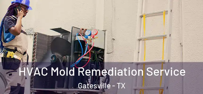 HVAC Mold Remediation Service Gatesville - TX