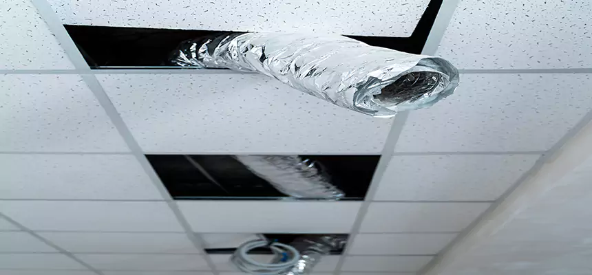 Our Air Duct Pet Hair Removal Services in Gatesville, TX