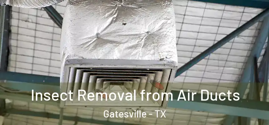Insect Removal from Air Ducts Gatesville - TX