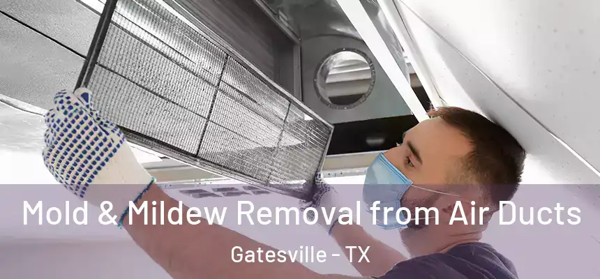  Mold & Mildew Removal from Air Ducts Gatesville - TX