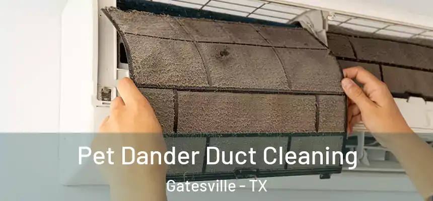 Pet Dander Duct Cleaning Gatesville - TX