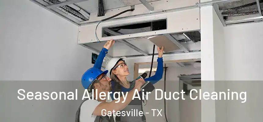 Seasonal Allergy Air Duct Cleaning Gatesville - TX