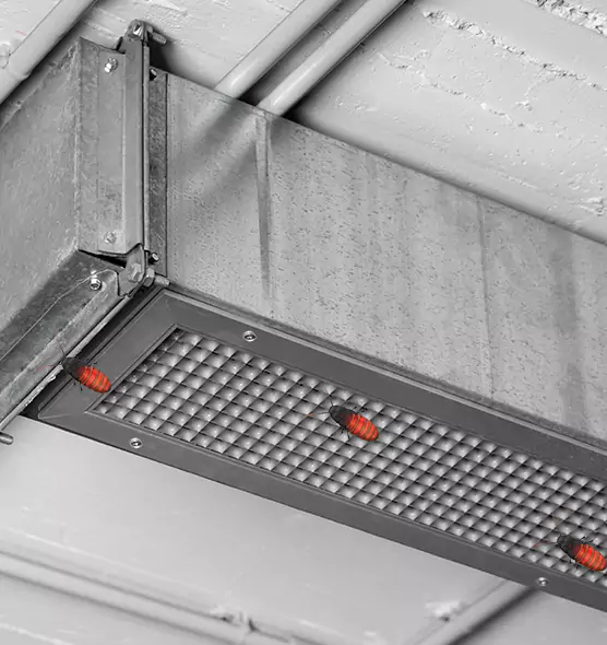 Affordable Insect Removal from Air Ducts in Gatesville, TX