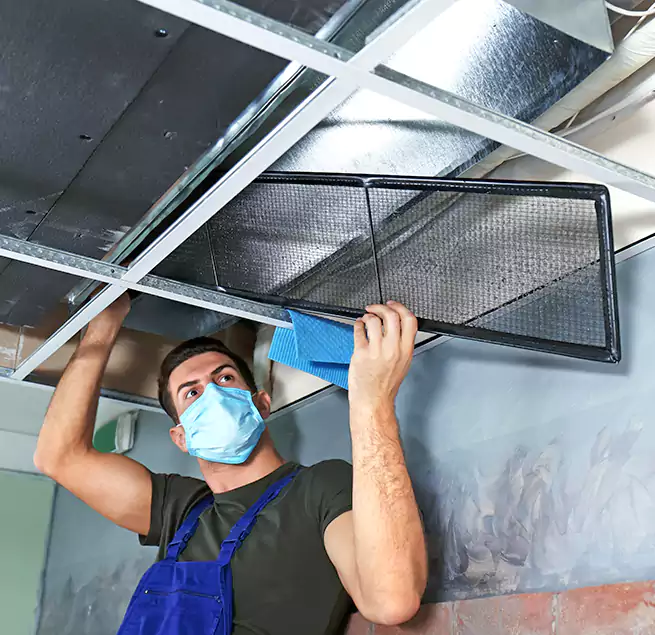 Why Homeowners Businesses Trust Us in Gatesville, TX